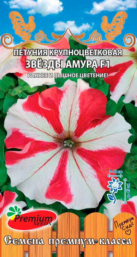  Premium seeds    , 10 .       , -, 