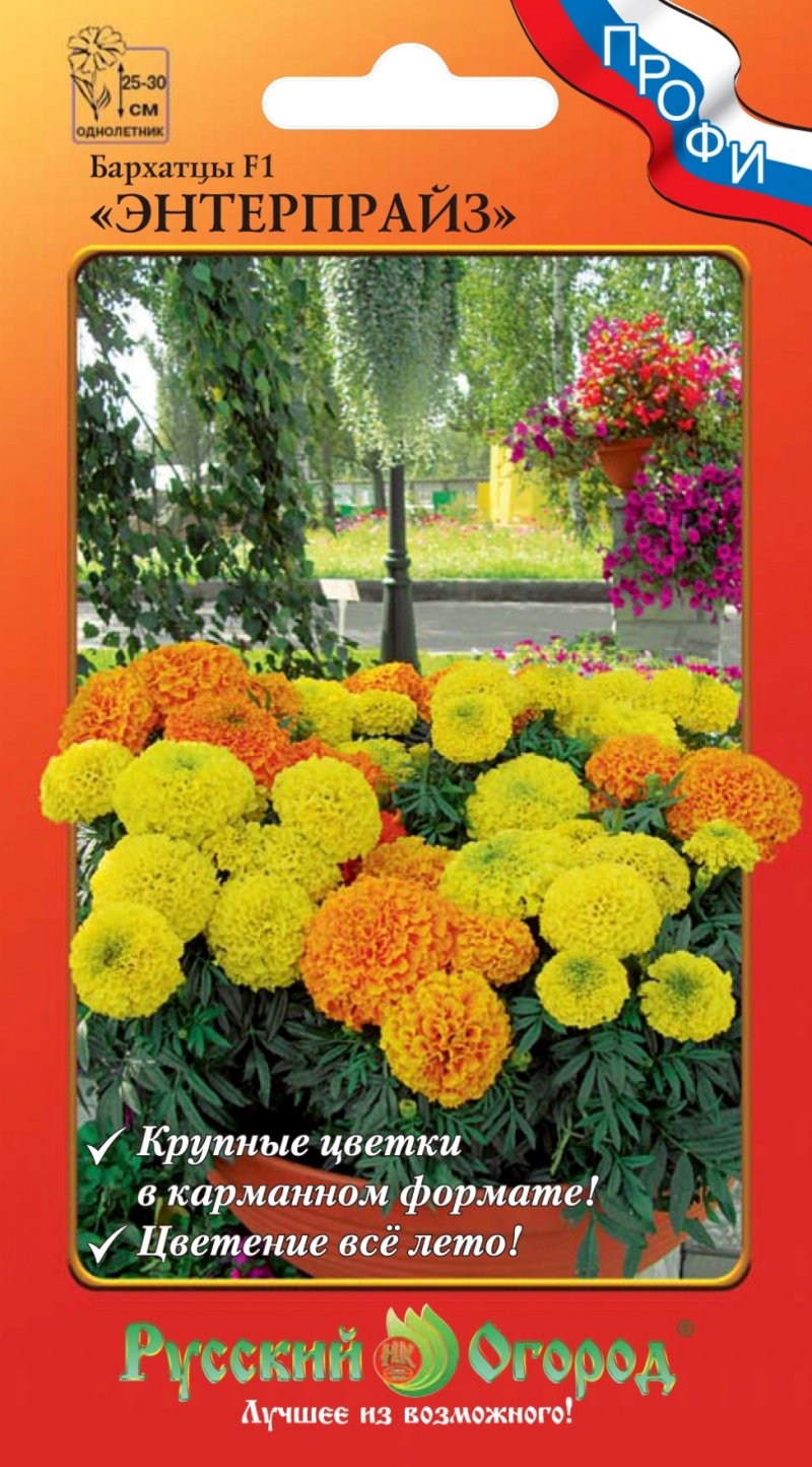 ���������� ������ ������� ������ �������� ���������� F1, �����, 10 ��. �����  