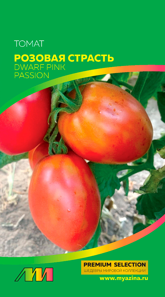        (Dwarf Pink Passion), 5 . Premium Selection    , -, 