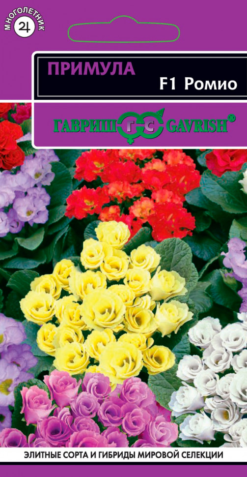 ���������� ������ ������ ������� �������� ����� F1, �����, 3 ��. ���������  