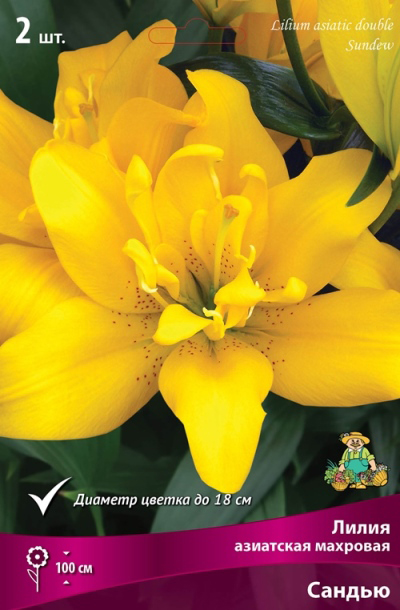 ���������� ���������� �������� ����� ��������� ����� ��������� �������� ������, 2 ��.  