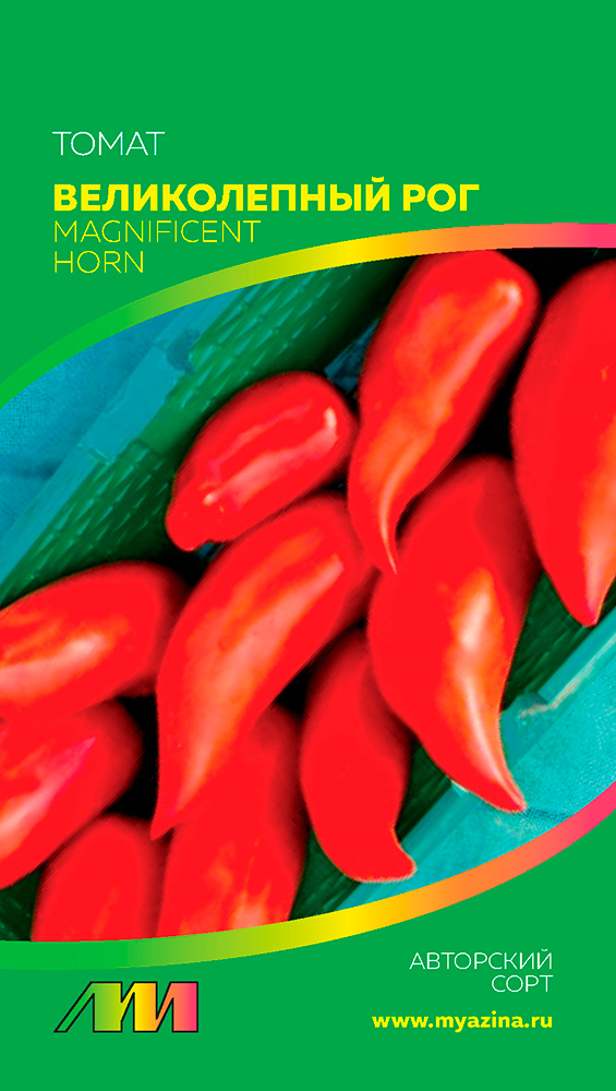 ���������� ������ ������ ������ ����������� ����� ������������ ���, 5 ��. ��������� ����  