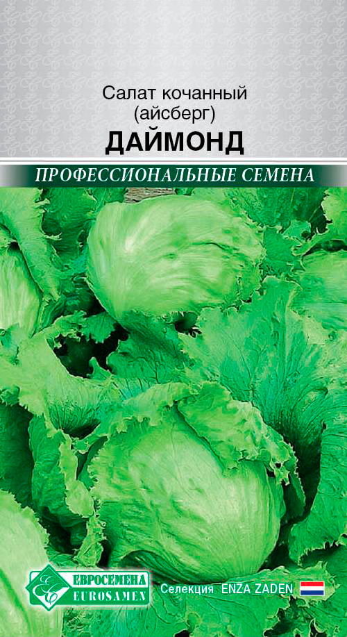 ���������� ������ ���������� ����� �������� (�������) �������, 8 ��. Enza Zaden ���������������� ������  