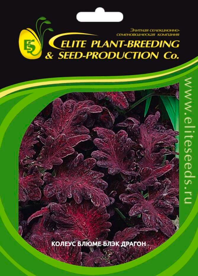  Elite Seeds      , 70 .      , -, 