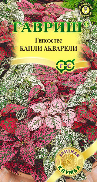 ���������� ������ ������ ��������� ����� ��������, 5 ��.  