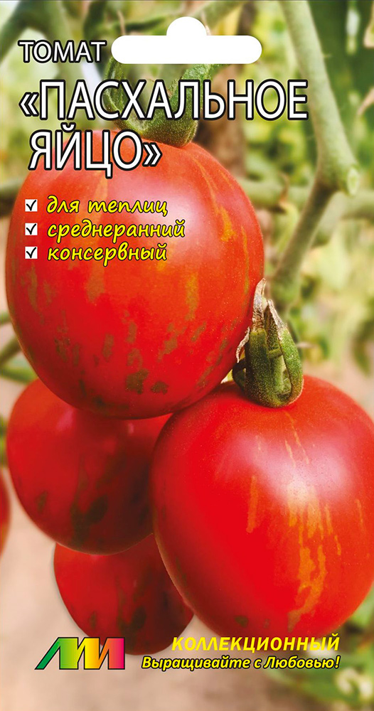 ���������� ������ ������ ������ ����������� ����� ���������� ����, 5 ��.  