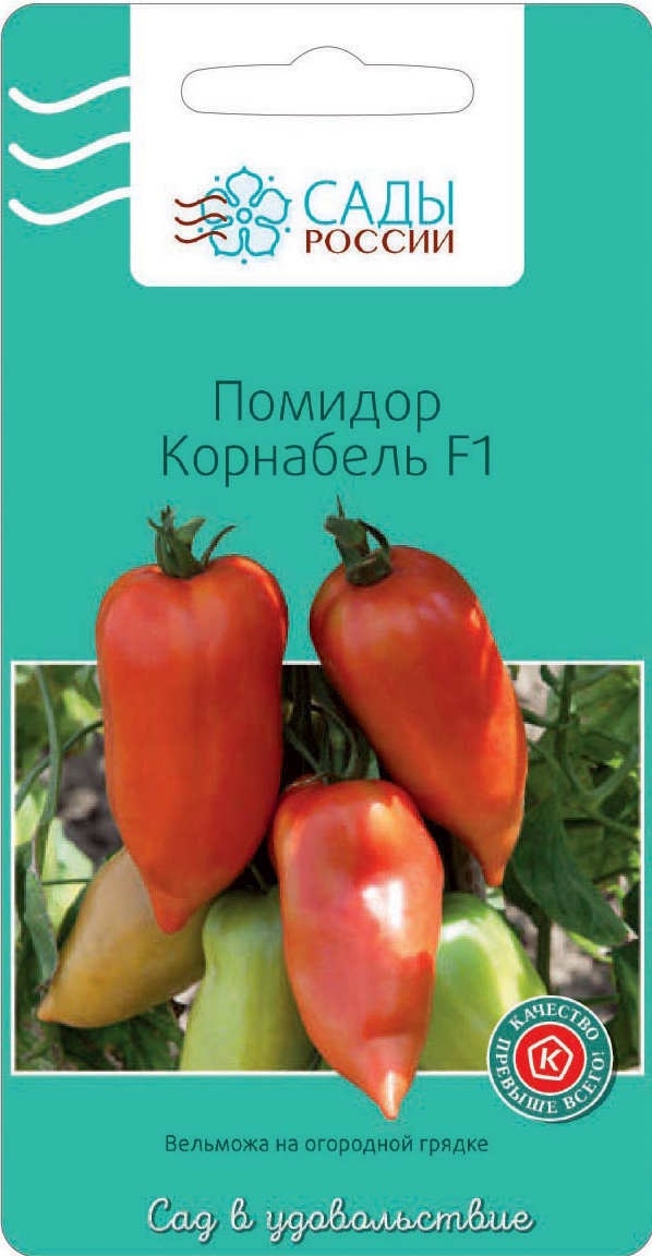 ���������� ������ ���� ������ ����� ��������� F1, 3 ��.  