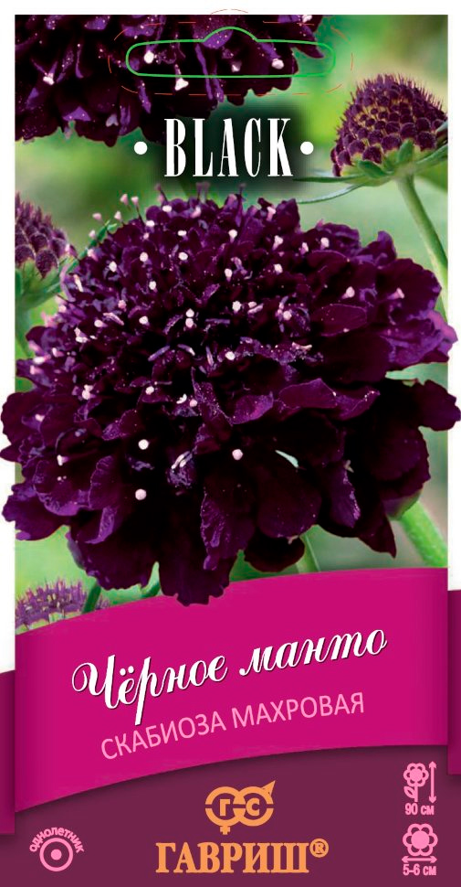 ���������� ������ ������ �������� ��������� �������� ������ �����, 0,2 � Black  