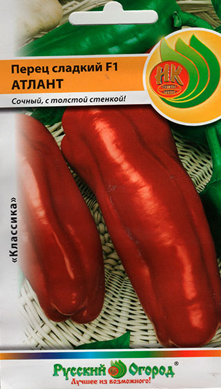 ���������� ������ ������� ������ ����� ������� ������ F1, 12 ��.  