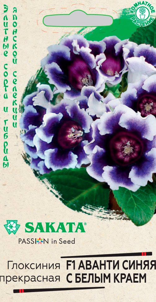         F1, 4 . Sakata    , -, 