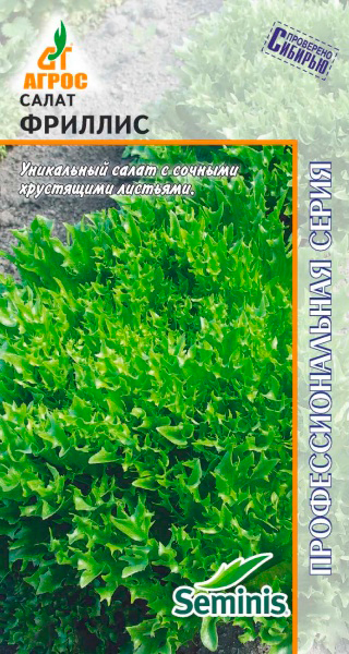 ���������� ������ ����� ����� �������� �������, 20 ��. Seminis ���������������� �����  