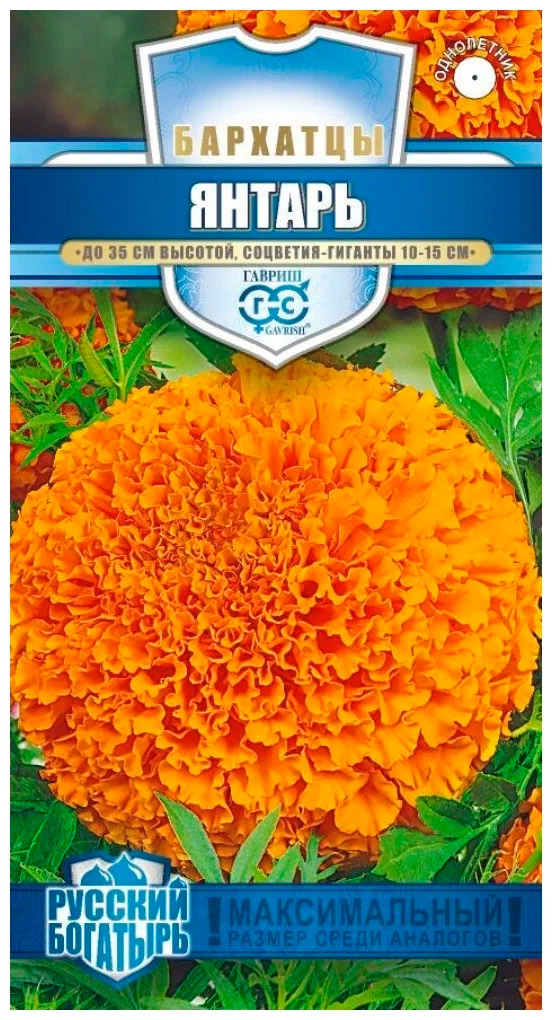 ���������� ������ ������ �������� ������, 0,1 � ������� ��������  