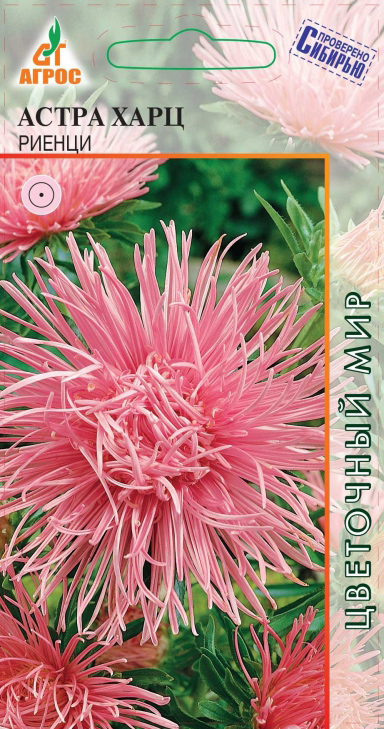 ���������� ������ ����� ����� ���� ������, 0,3 � ��������� �������  