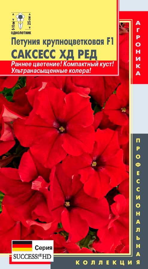 ���������� ������ ������� ������� ��������������� ������� �� ��� F1, 10 ����� ���������������� ���������  