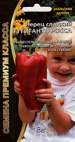 ���������� ������ ��������� ������ ����� ������� ������� ����� F1, 20 ��. ������ ������� ������  