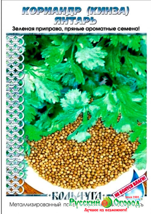 ���������� ������ ������� ������ �������� ������, 3 � �������� NEW  