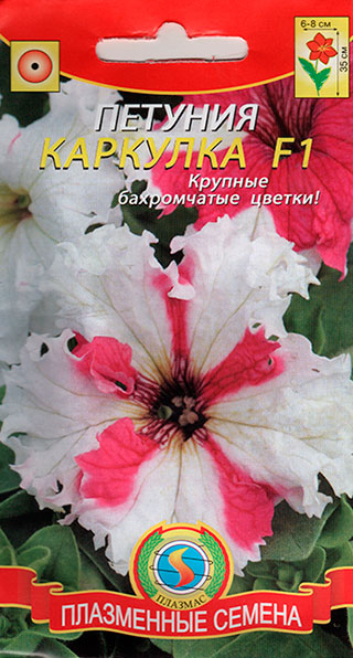 ���������� ������ ������� ������� ��������������� �������� F1, 10 �����  