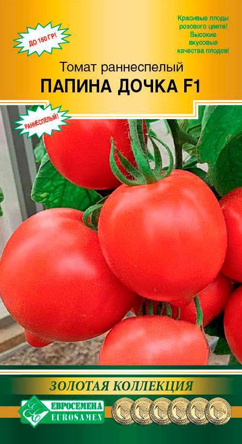 ���������� ������ ���������� ����� ������ ����� F1, 15 ��. ������� ���������  