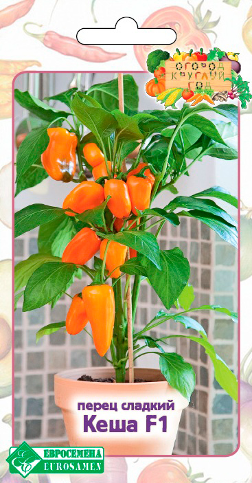 ���������� ������ ���������� ����� ������� ���� F1, 3 ��. ������ ������� ���  