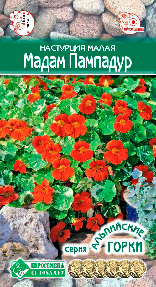 ���������� ������ ���������� ��������� ����� ����� ��������, 1 � ���������� �����  