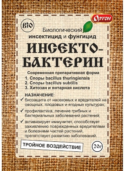 ���������� ���� �� ���������� ����� ���������������, 20 �  