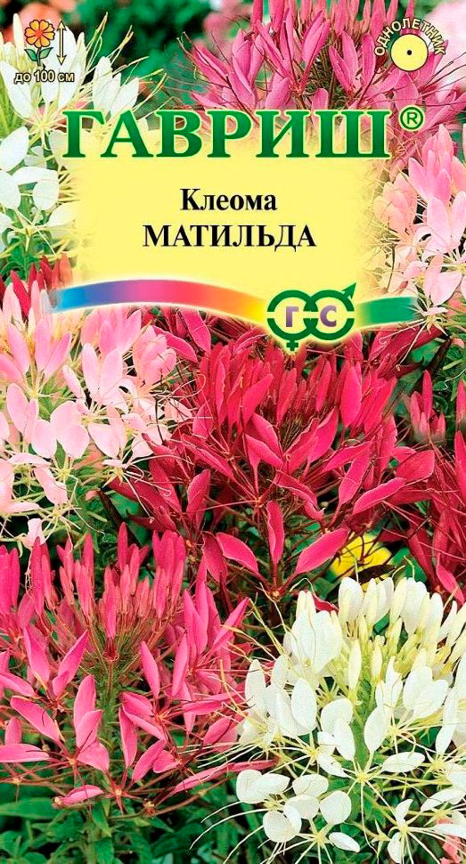 ���������� ������ ������ ������ ������� ��������, �����, 0,3 �  