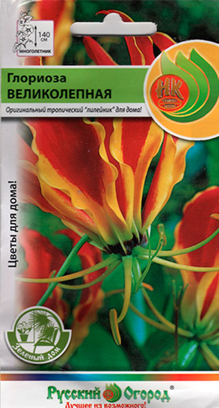 ���������� ������ ������� ������ �������� ������������, 6 ��. ������� ���  