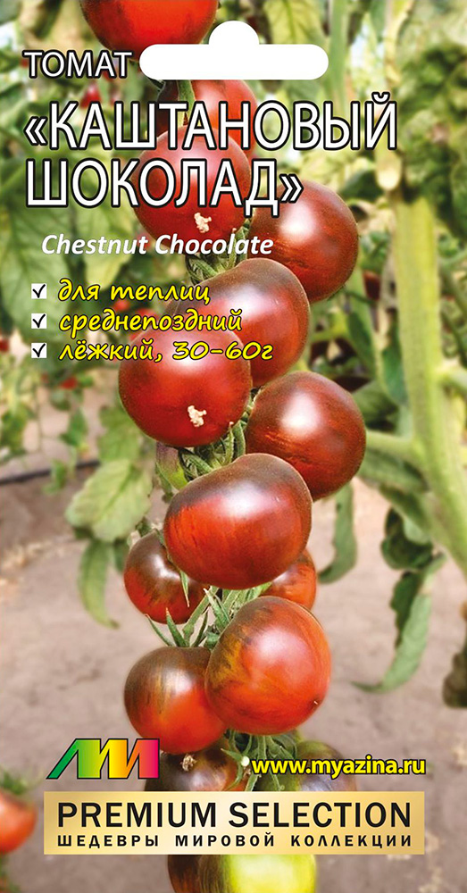        (Chestnut Chocolate), 5 . Premium Selection    , -, 