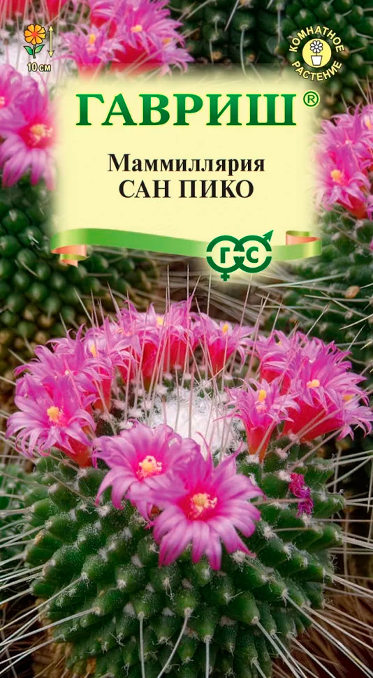 ���������� ������ ������ ����������� ������ (������) ��� ����, 2 ��.  