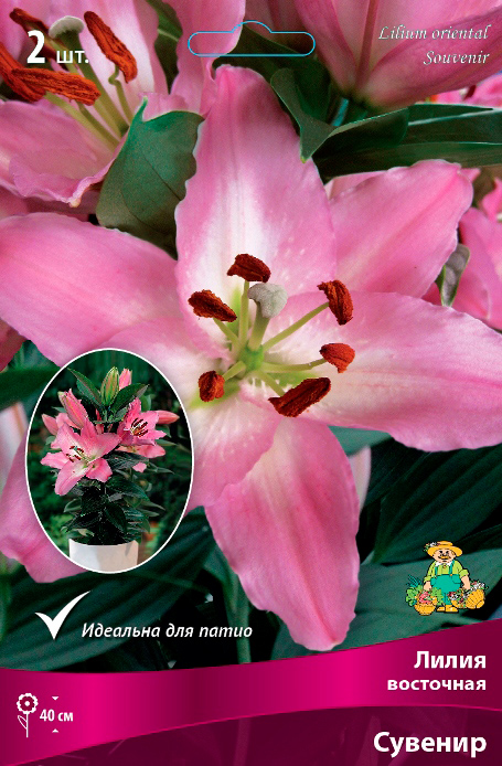 ���������� ���������� �������� ����� ��������� ����� ��������� ��������� �������, 2 ��.  