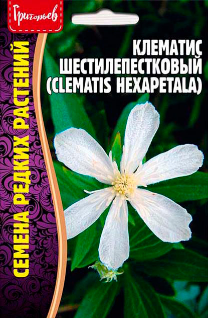     (Clematis hexapetala), 10 .       , -, 