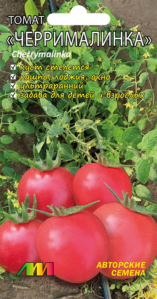 ���������� ������ ������ ������ ����������� ����� ������������, 5 ��.  