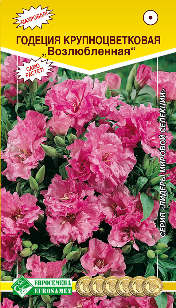 ���������� ������ ���������� ������� ��������������� ������������, 0,3 � ������ ������� ��������  