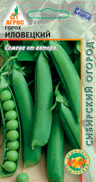 ���������� ������ ����� ����� ���������, 10 � ��������� �������  