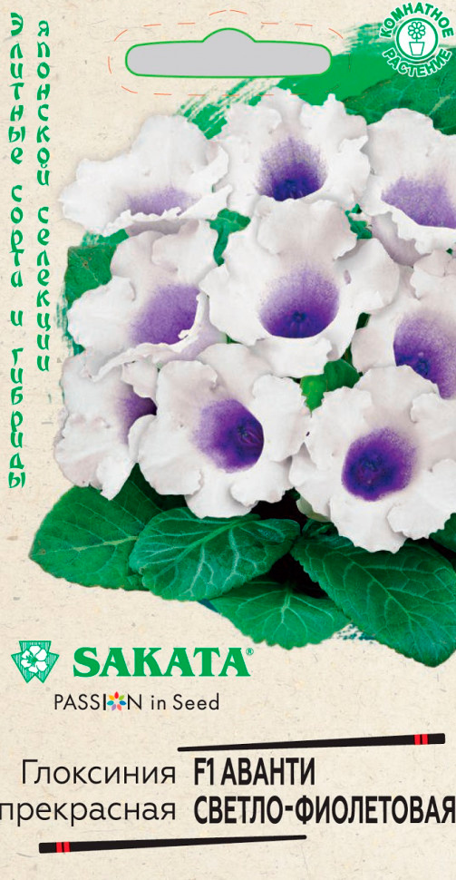     - F1, 5 . Sakata    , -, 