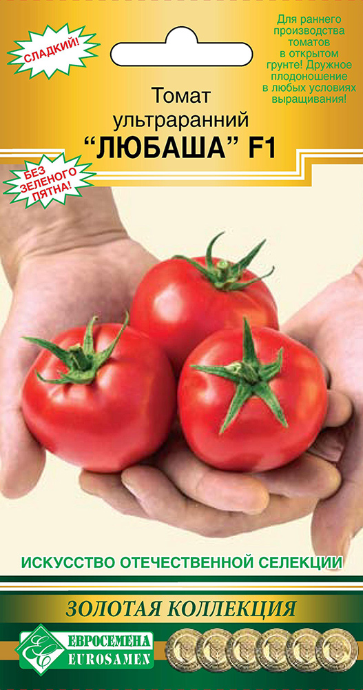 ���������� ������ ���������� ����� ������������ ������ F1, 8 ��. ������� ���������  