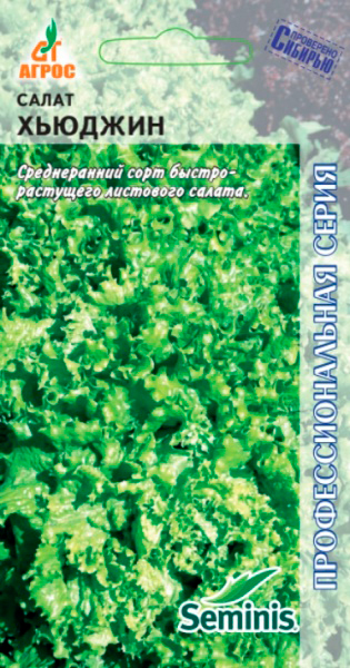 ���������� ������ ����� ����� �������� �������, 20 ��. Seminis ���������������� �����  