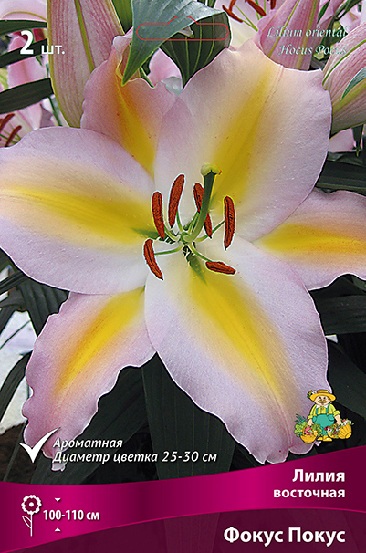 ���������� ���������� �������� ����� ��������� ����� ��������� ����� �����, 2 ��.  