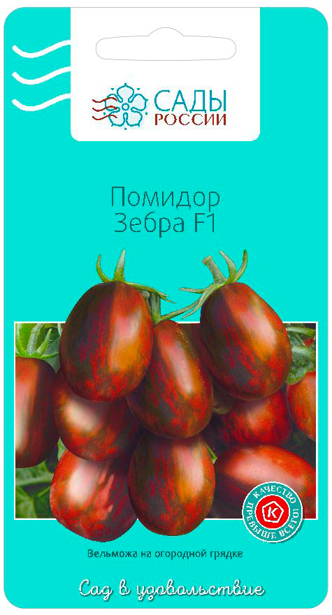 ���������� ������ ���� ������ ����� ����� F1, 5 ��.  