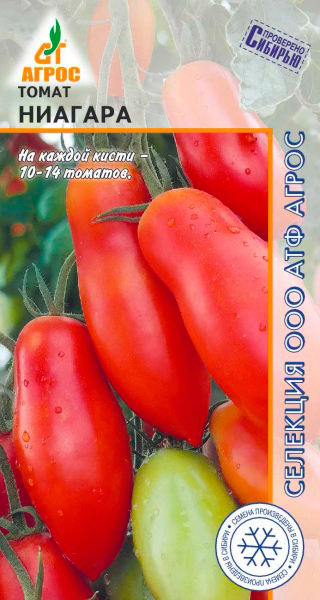 ���������� ������ ����� ����� �������, 0,08 � �������� �����  