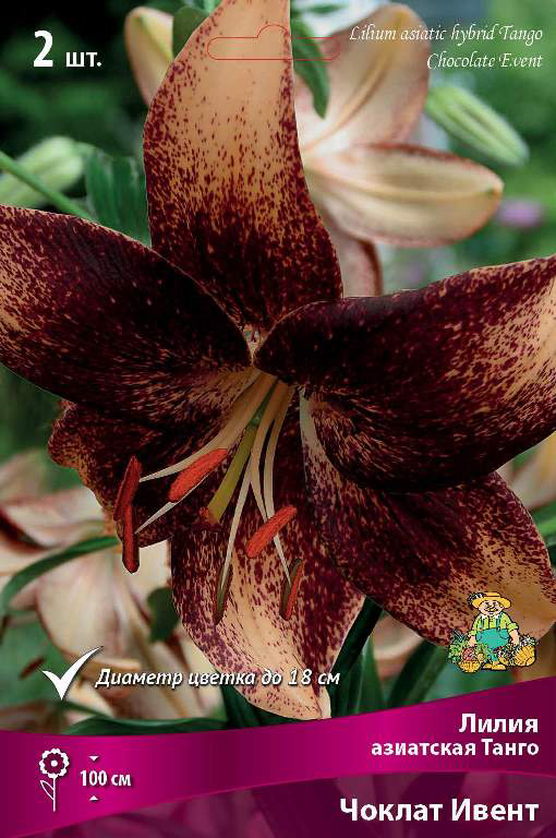 ���������� ���������� �������� ����� ��������� ����� ��������� ����� ������ �����, 2 ��.  