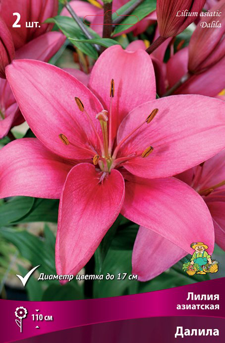 ���������� ���������� �������� ����� ��������� ����� ��������� ������, 2 ��.  