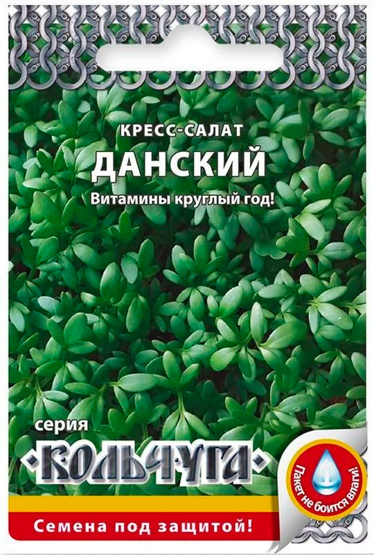 ���������� ������ ������� ������ �����-����� �������, 2 � ��������  