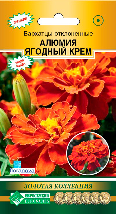 ���������� ������ ���������� �������� ����������� ������ ������� ����, 10 ��. Floranova ������� ���������  