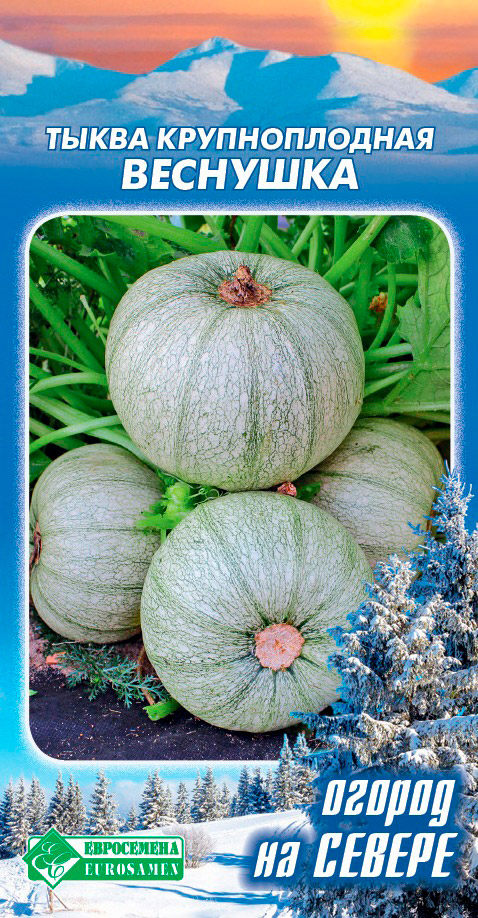 ���������� ������ ���������� ����� ����������� ��������, 5 ��. ������ �� ������  