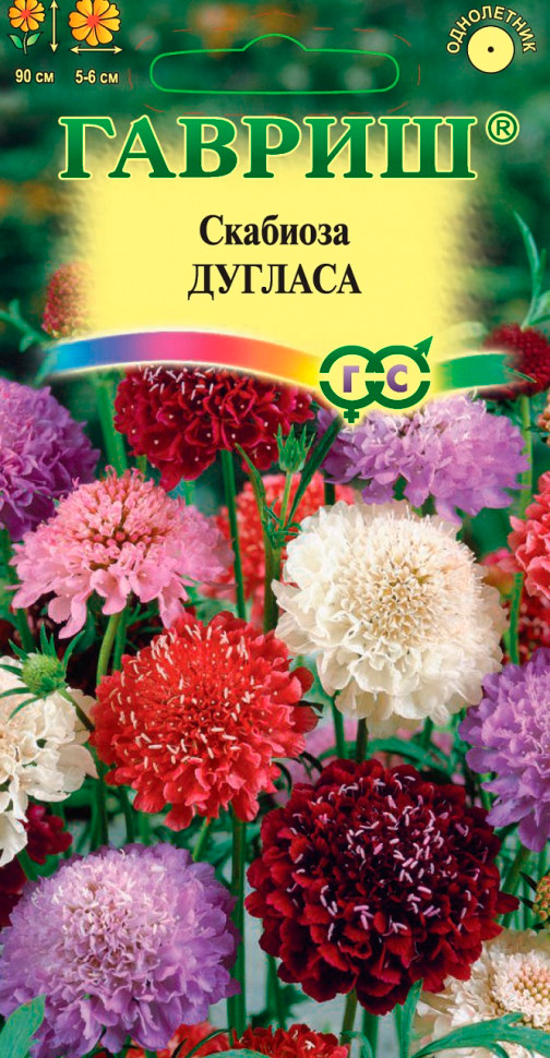 ���������� ������ ������ �������� �����-��������� �������� ������, �����, 0,5 �  