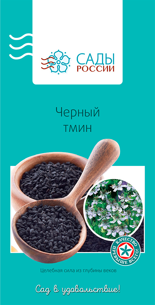 ���������� ������ ���� ������ ׸���� ���� (�������� ��������), 0,5 �  