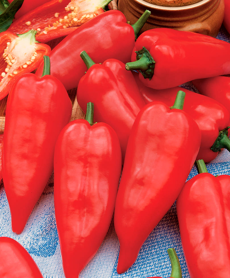 ���������� ������ ���� ������ ����� ������� ������ F1, 5 ��.  