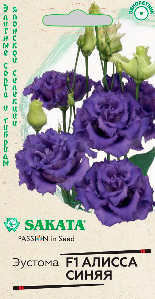       F1, 4 . Sakata     , -, 