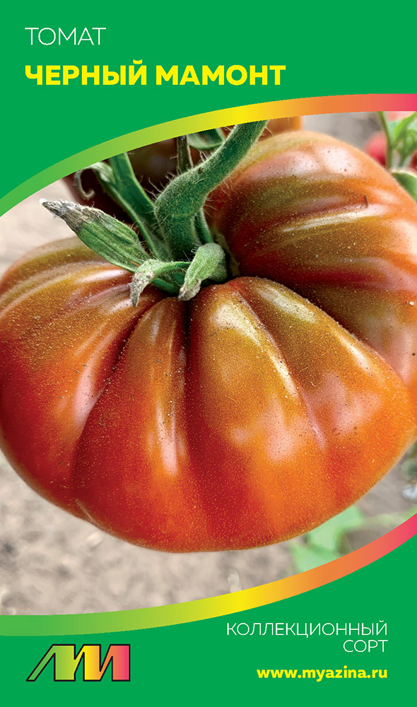 ���������� ������ ������ ������ ����������� ����� ������ ������, 5 ��. ������������� ����  